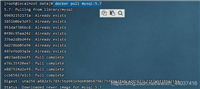 使用Docker部署MySQL的实现步骤