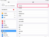 ipad设备名称能改吗 ipad设备名字修改方法