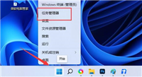 Win11无法删除U盘文件怎么办?U盘的文件无法删除文件解决教程