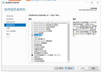 Winserver2019搭建主辅域名解析服务器的方法