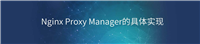 Nginx Proxy Manager的具体实现