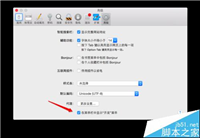 MAC系统中怎么开启Safari开发者模式?