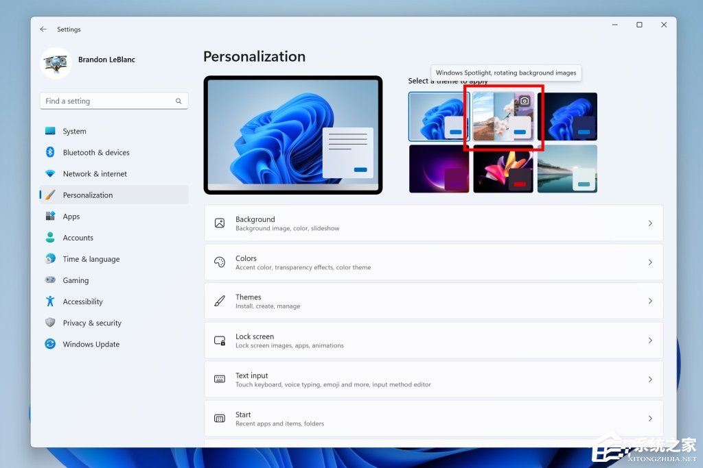 微软最新win11 insider preview build 