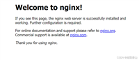 Docker部署安装Nginx的详细过程