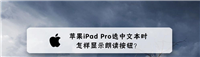 苹果iPad Pro平板怎么实现选中文本可以进行朗读?