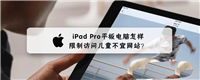 iPad Pro平板访问限制在哪?