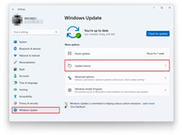 Win11 22H2怎么卸载更新补丁?Win11 22H2卸载更新补丁的步骤