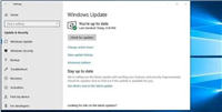 Win11 PC上的Outlook搜索错误怎么办?