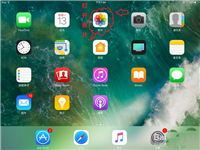 苹果平板ipad中彩色图片怎么变黑白效果?