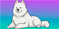 SAMO是什么币?SAMO币全面介绍
