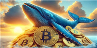 比特币涨破6.9万美元!CryptoQuant:大户正加速囤积BTC