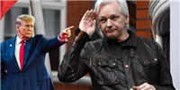 特朗普:当选特赦维基解密创始人Julian Assange!JUSTICE暴涨414%
