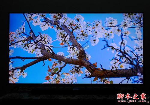 小米电视3s 65寸全面深度评测图解: 4999元小米电视3s值得买吗?