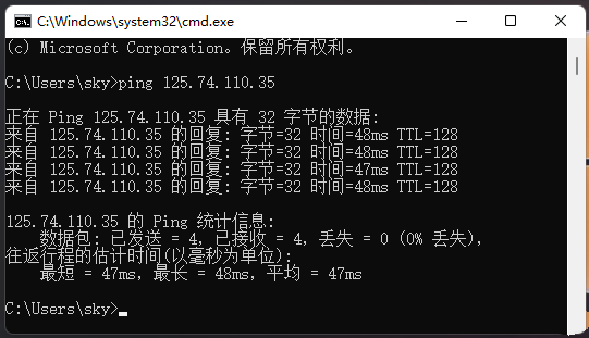 win11网络地址ping测试