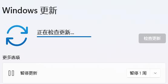 win11用不了动态壁纸