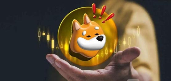 bonk上线几家交易所？bonk币上线交易所盘点