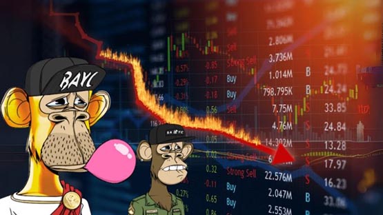 nft全线崩跌！kol点明问题：牛市谁炒nft？