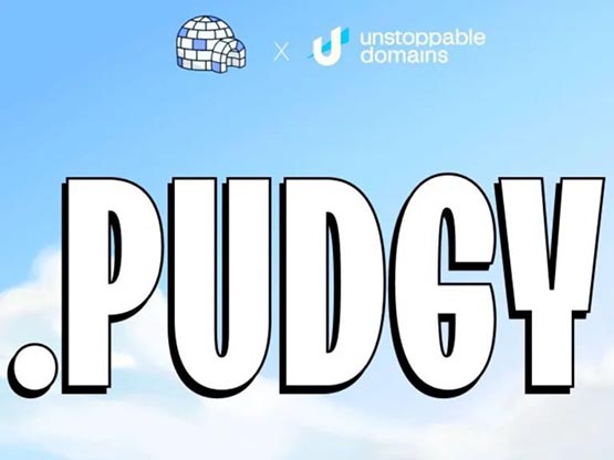pudgy penguins推出自家域名.pudgy以提升品牌影响力