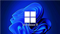 Win11无法使用动态壁纸怎么办?Win11动态壁纸设置方法