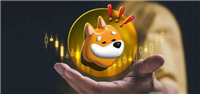 BONK币上线几家交易所?BONK币最新价格
