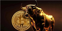 比特币减半行情还没飚起来?CryptoQuant:比特币目前位于牛市中期