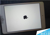 iPad mini怎么查激活时间?iPad mini激活时间查询教程