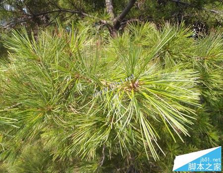 华为平板m3青春版值得买吗?华为平板m3青春版外观/性能/系统全面评测图解