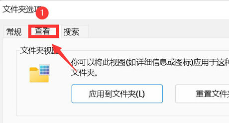 win11如何开启文件夹缩略图?