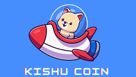 kishu币有前景吗？kishu币现在在国外火吗？