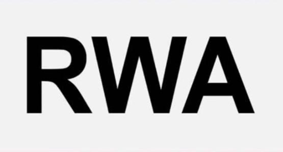 rwa赛道哪个币最可能百倍币？