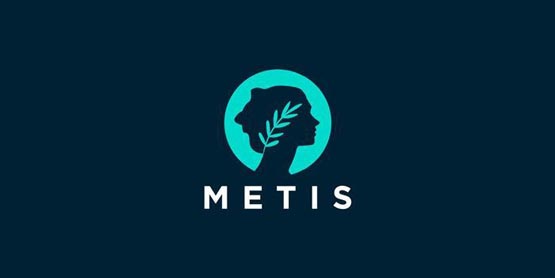 metis币总量多少？metis币发行量介绍
