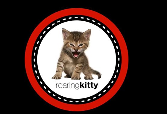 gamestop轧空推手roaring kitty回归！代币gme大涨逾1800%