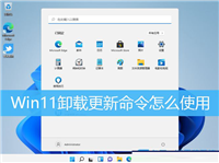 Win11卸载系统补丁命令怎么使用?Win11卸载更新命令使用方法