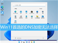 Win11不能使用DNS加密怎么办?Win11首选的DNS加密无法选择解决方法