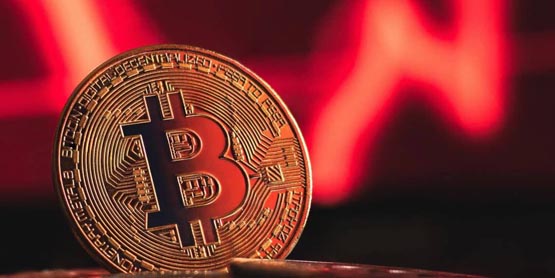 美国比特币现货etf单日失血逾5.6亿美元！成上市以来最大资金流出