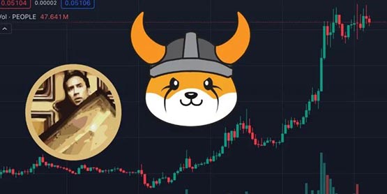 floki通过燃烧152亿枚代币投票、跳涨45%！meme币people也暴涨