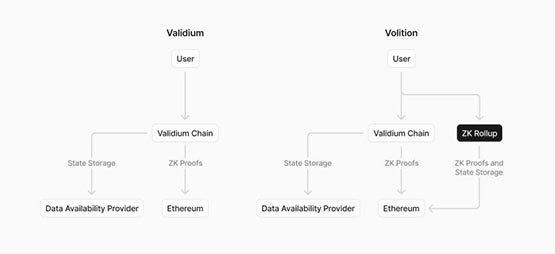 lens protocol推出lens network！提升效率同时维护社交去中心化