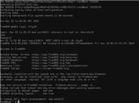 FreeBSD 14.1 维护更新发布:改进性能、升级 OpenZFS、优化音效