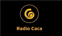 RACA币在哪买?RACA币交易所盘点