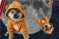 DOG币是什么?符文GOTOTHEMOON(DOG)币未来前景如何?