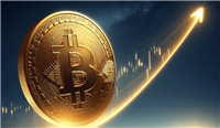 六月有哪些需要关注的暴涨币