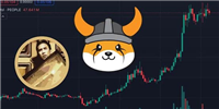Meme币PEOPLE也暴涨!FLOKI通过燃烧152亿枚代币投票、跳涨45%