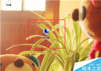 电脑的某个磁盘如何设置成共享?