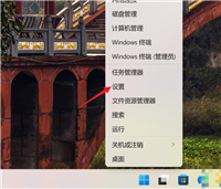 Win11系统怎么安装SNMP? Win11开启SNMP可选功能的技巧