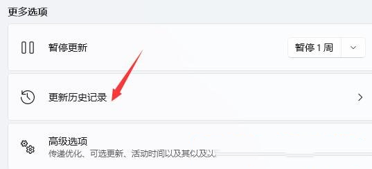 win11显示屏一直闪屏的解决方法