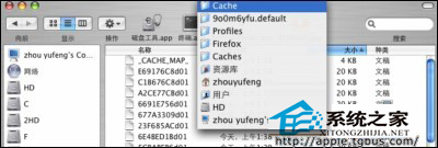 mac如何保存土豆网的视频