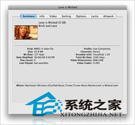 mac系统怎么更改itunes中的视频类型