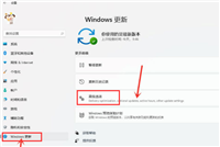 Windows11传递优化功能如何开启 Windows11传递优化开启教程