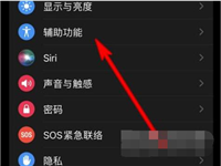 AppleWatchSeries7手势操作如何设置?