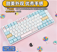 SKYLOONG小呆虫马卡龙机械键盘评测   甜美外观 优秀手感